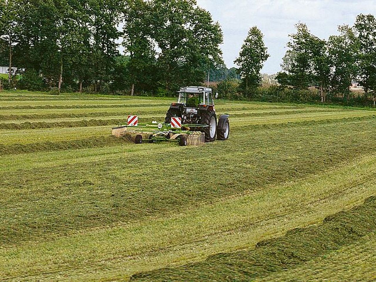 Egyrotoros rendképzők